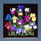 tile DS-156 Iris garden on black6836.jpg